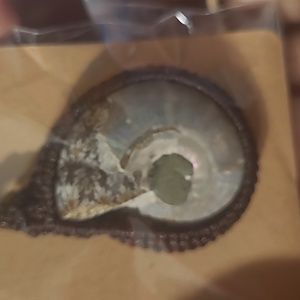 Ammonite shell necklace